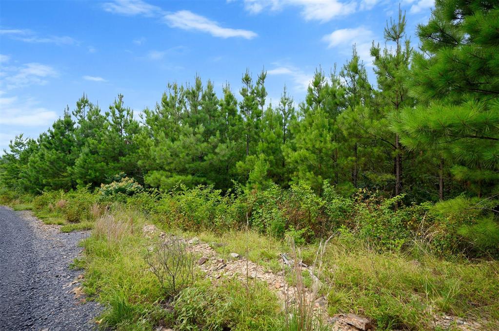 234 Sierra Vista Trail Property Photo 9