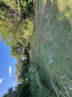 804 S Stephens Avenue Property Photo 1