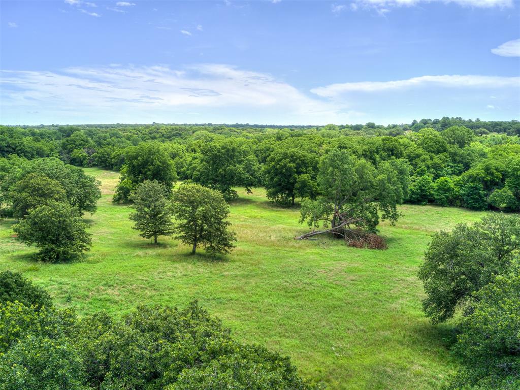 3525 Claire Court Property Photo 7