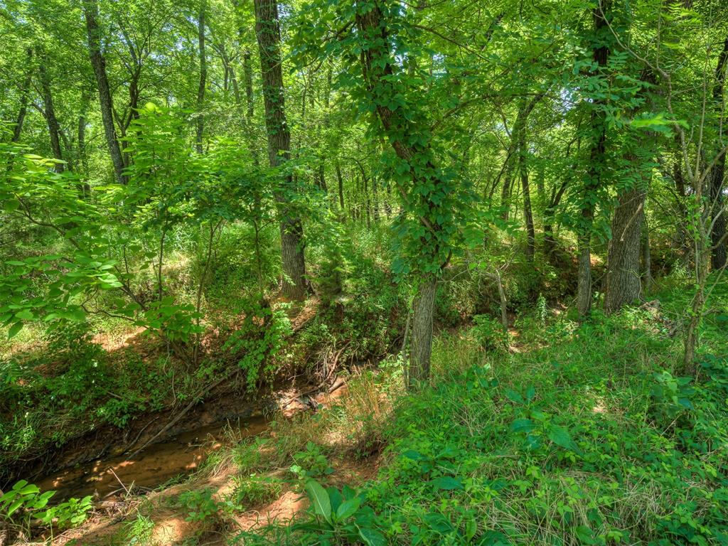 3525 Claire Court Property Photo 10