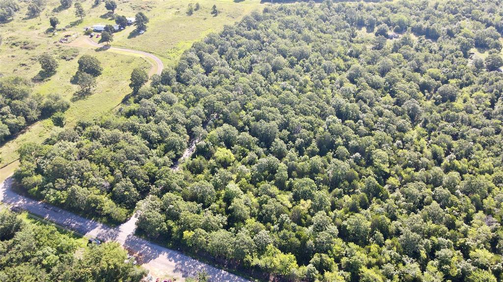 0000 Piney Creek Road Property Photo 1