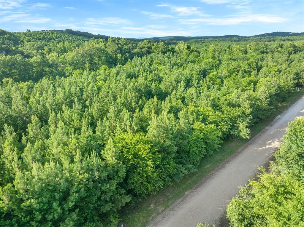 5757 Pine Seed Trail Property Photo 3