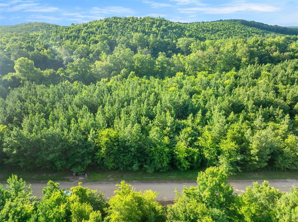 5757 Pine Seed Trail Property Photo 4