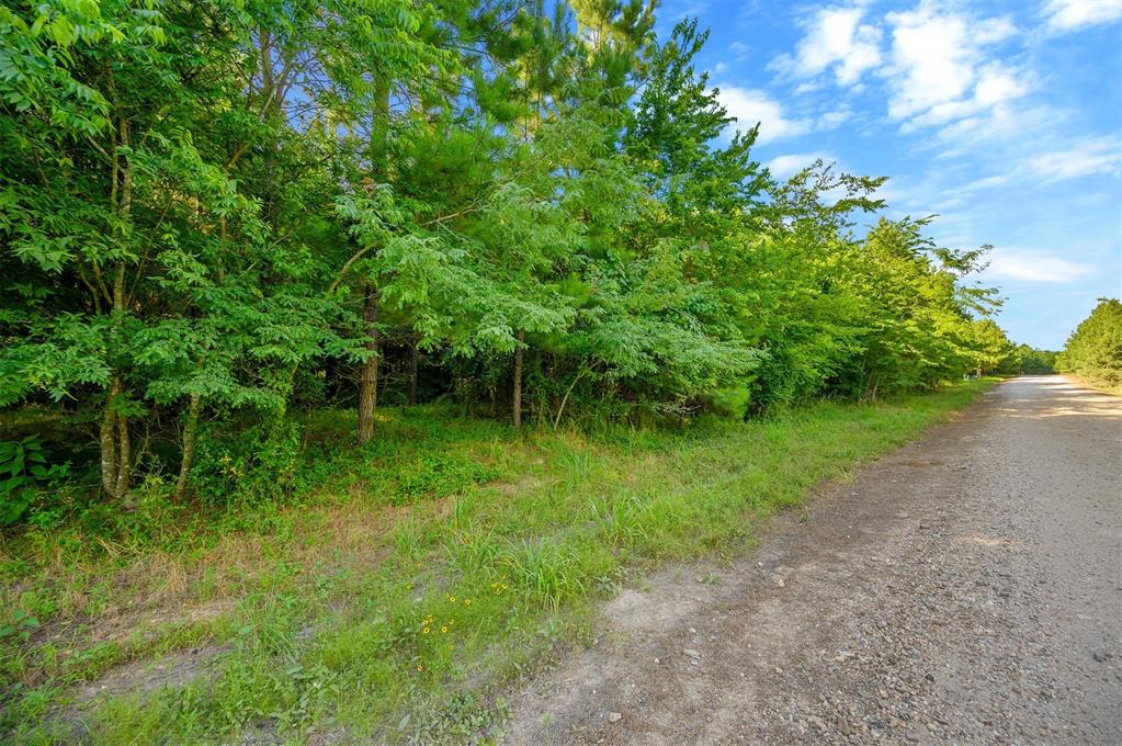 5757 Pine Seed Trail Property Photo 7