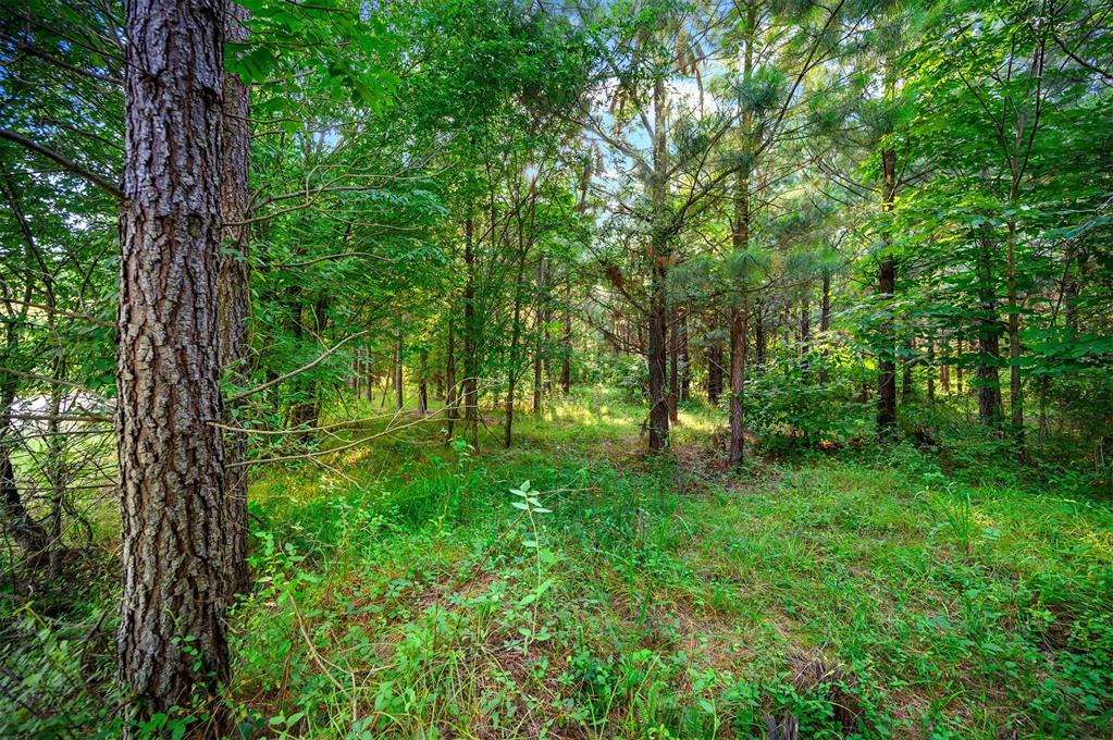 5757 Pine Seed Trail Property Photo 8