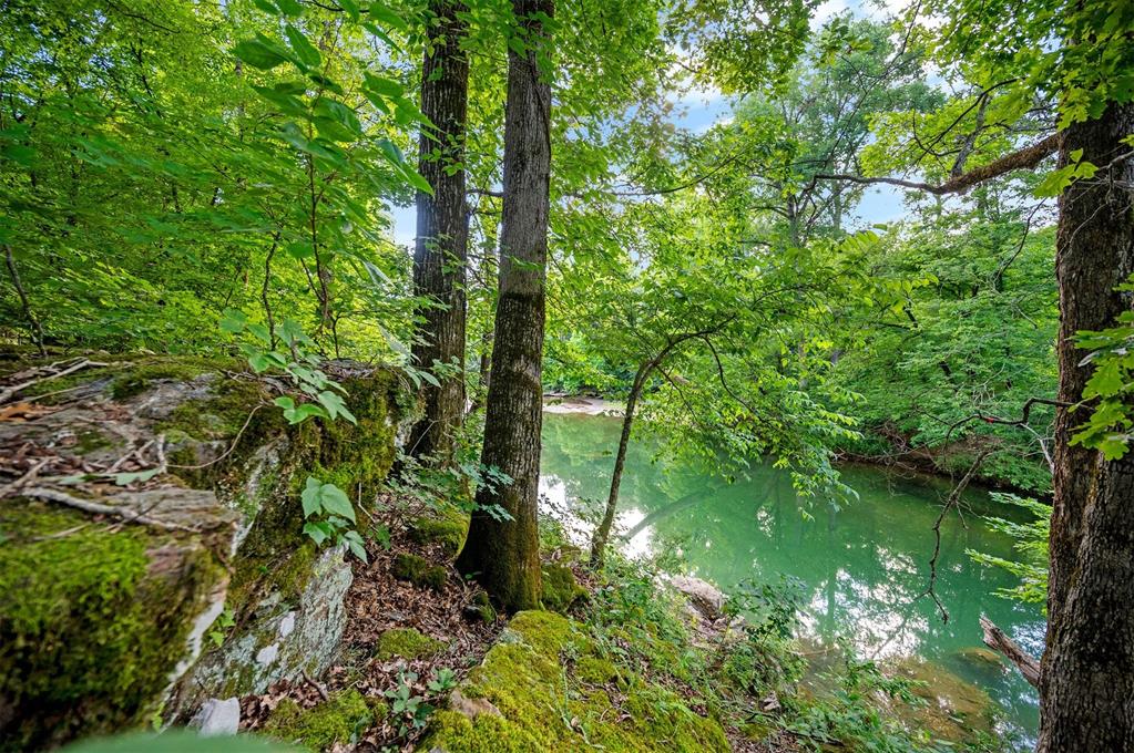 5757 Pine Seed Trail Property Photo 11