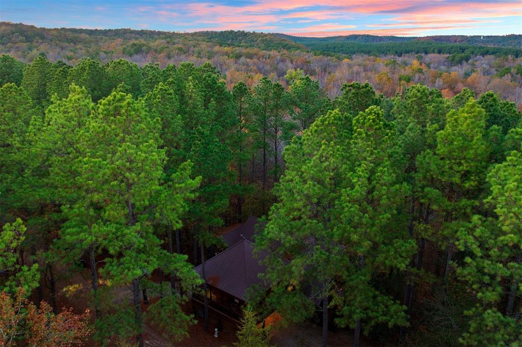 113 Ridgeline Trail Property Photo 42