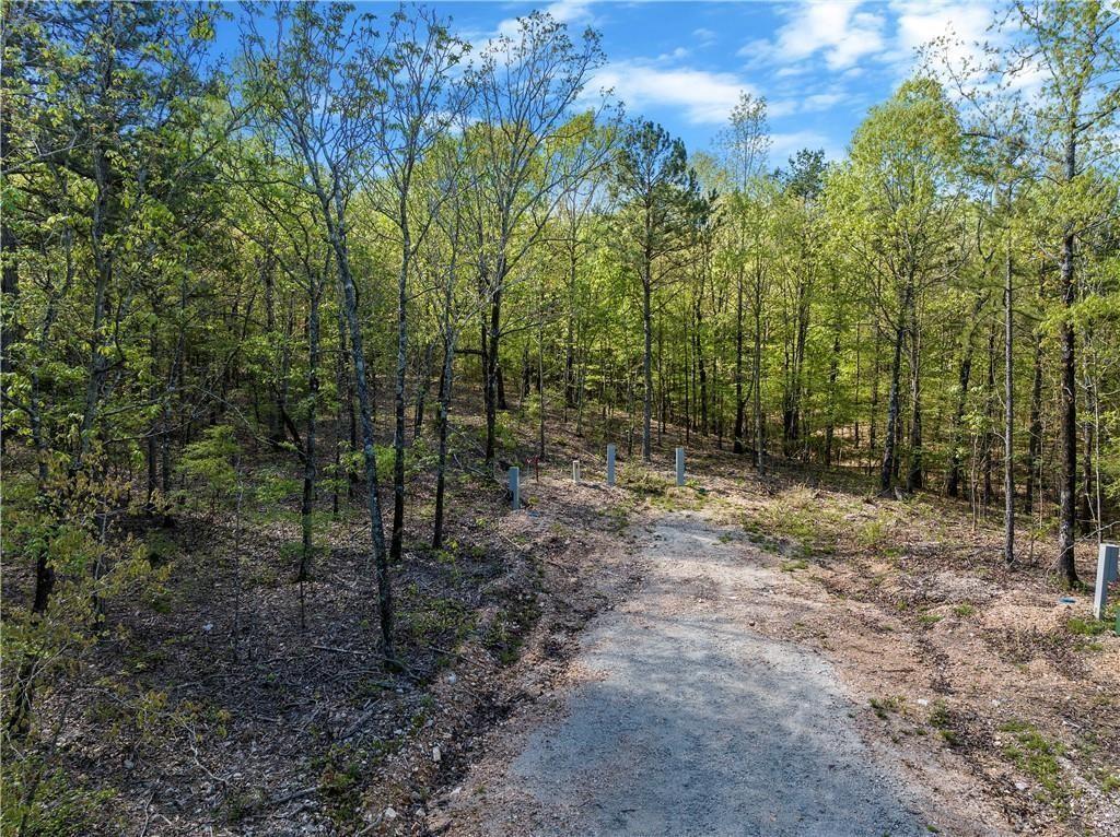 50 AJ Cedar Trail Property Photo 1