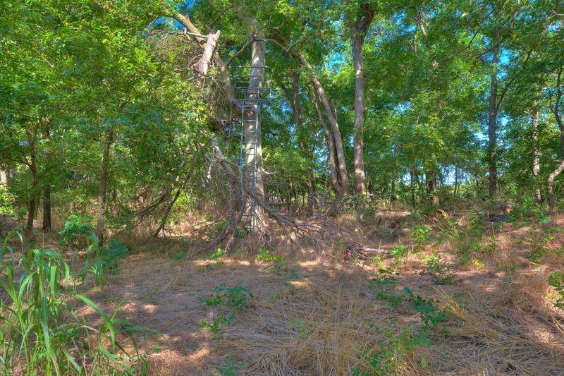 17151 N Western Avenue Property Photo 15