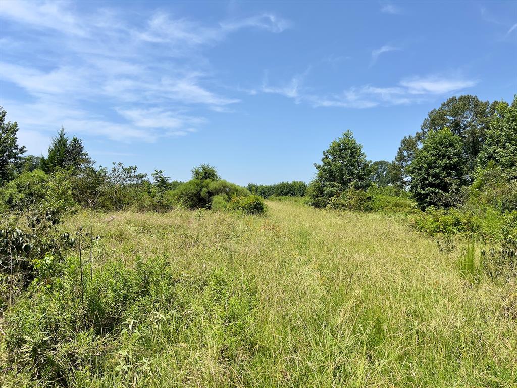 80 Sand Road Property Photo 11