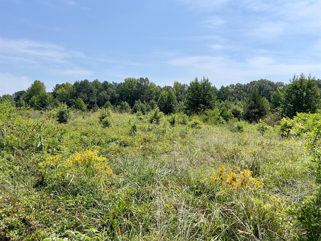 80 Sand Road Property Photo 12