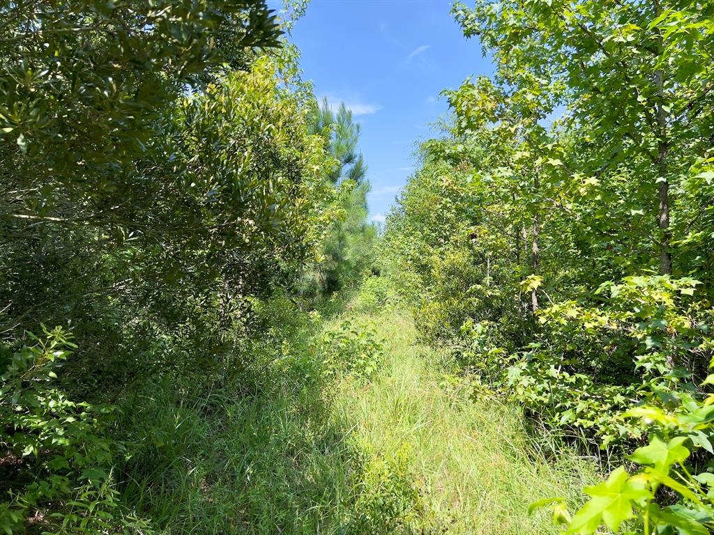 80 Sand Road Property Photo 13