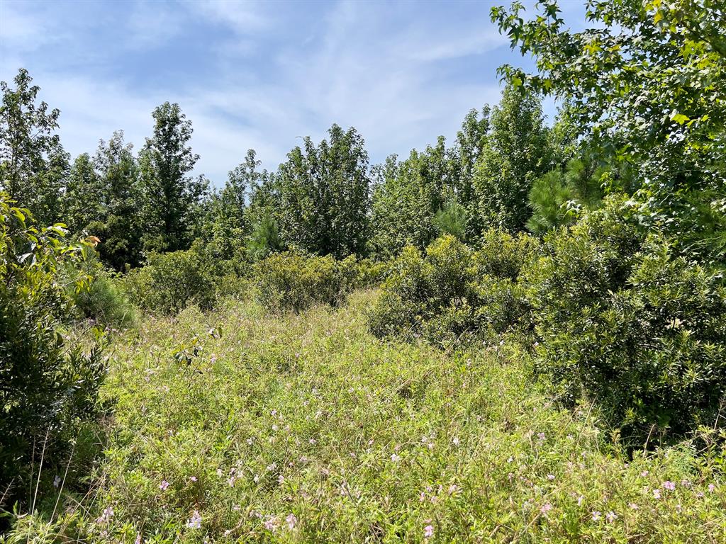 80 Sand Road Property Photo 14
