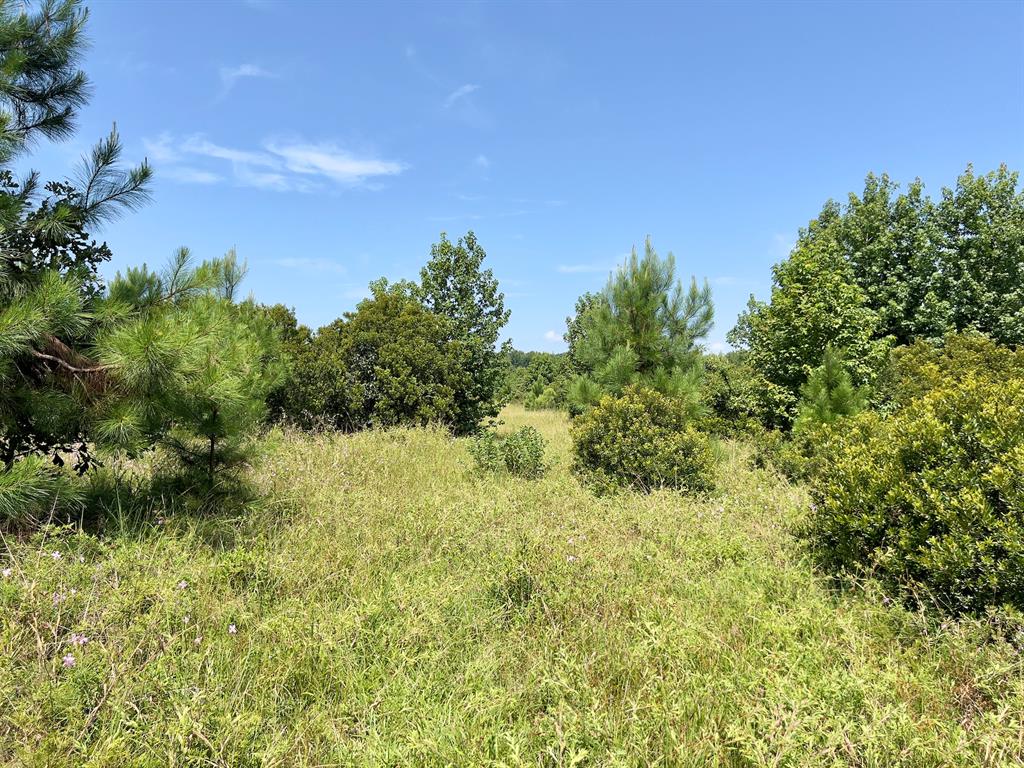 80 Sand Road Property Photo 15