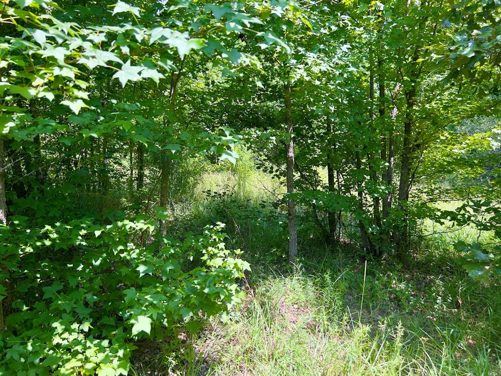 80 Sand Road Property Photo 16