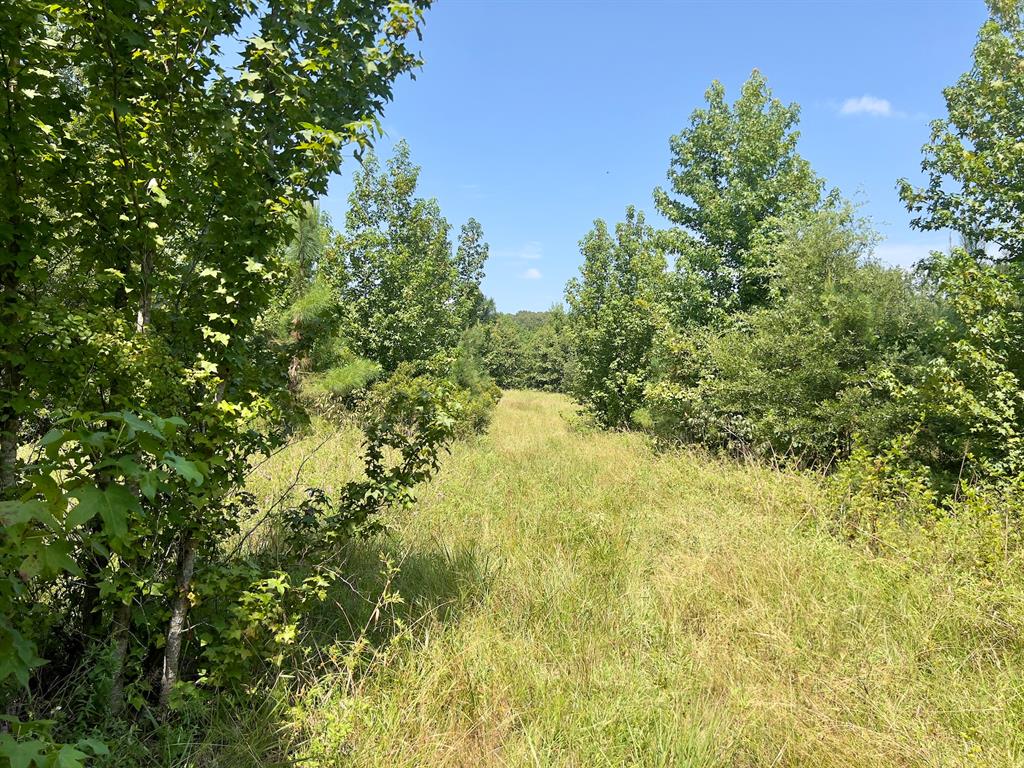80 Sand Road Property Photo 17