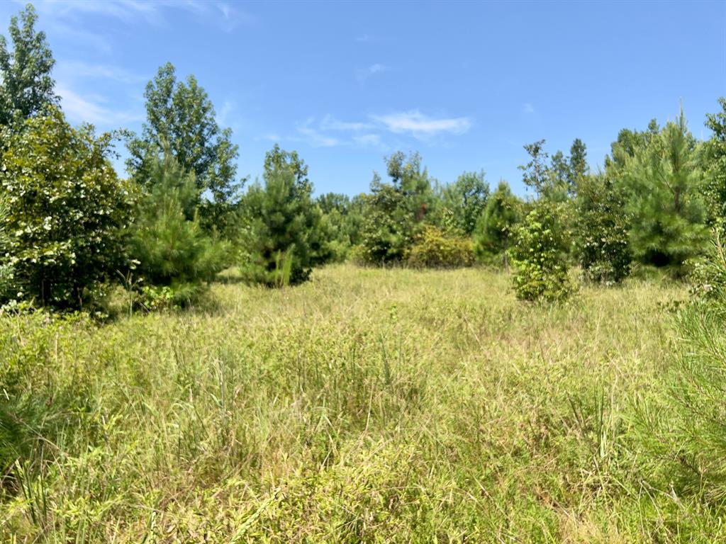 80 Sand Road Property Photo 18