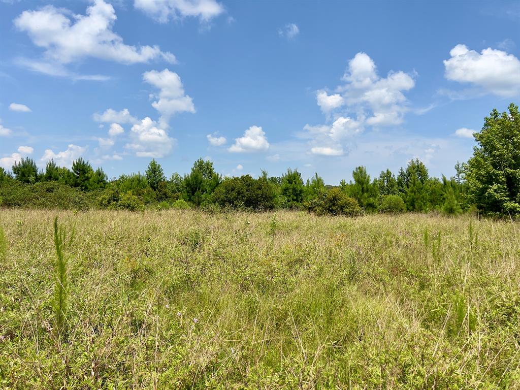 80 Sand Road Property Photo 19
