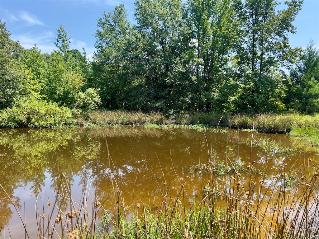 80 Sand Road Property Photo 20