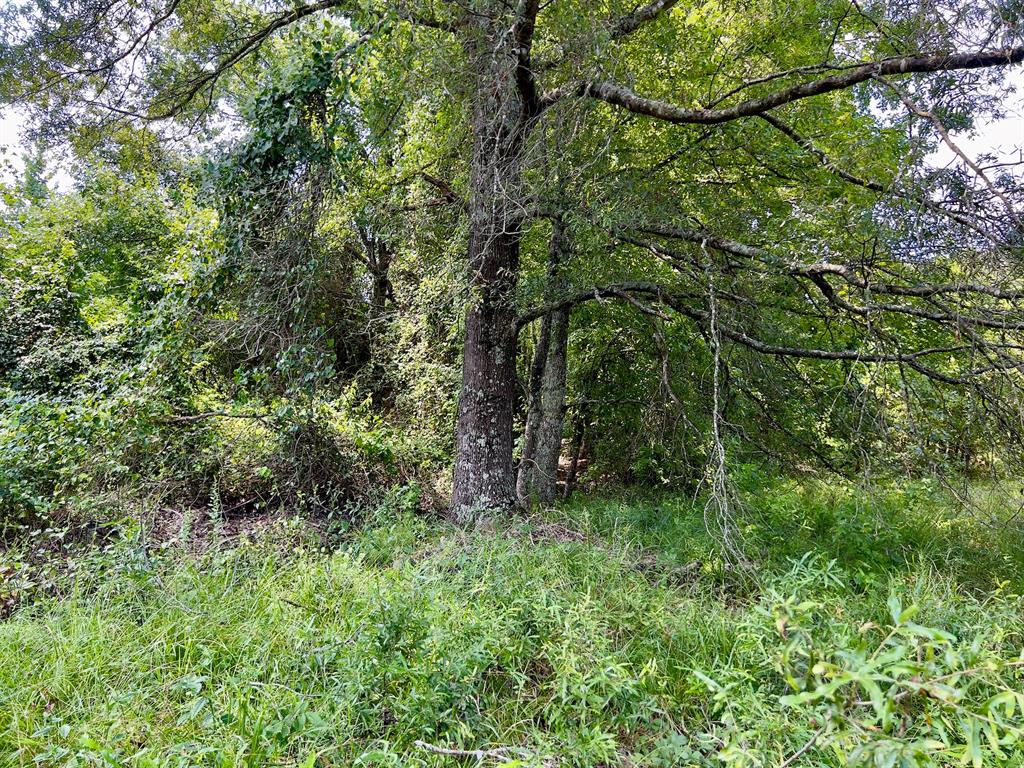 80 Sand Road Property Photo 21