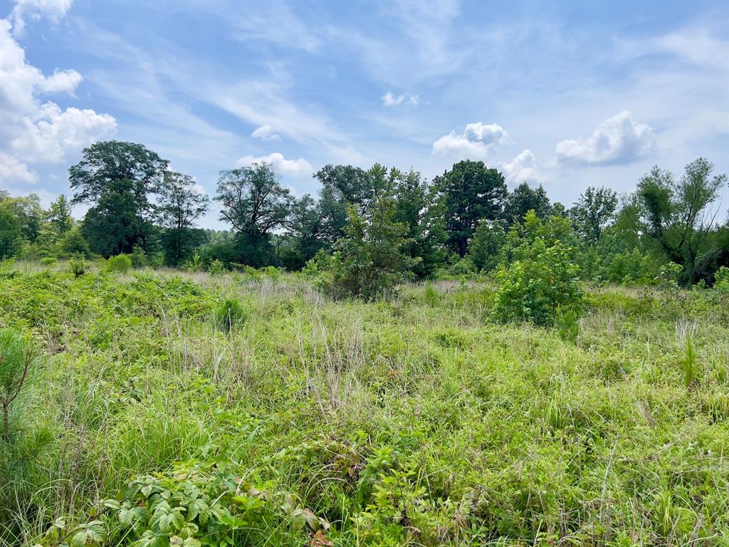 80 Sand Road Property Photo 22