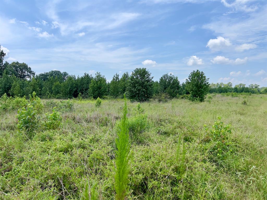 80 Sand Road Property Photo 23