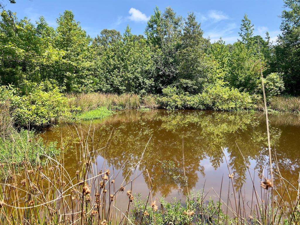 80 Sand Road Property Photo 24