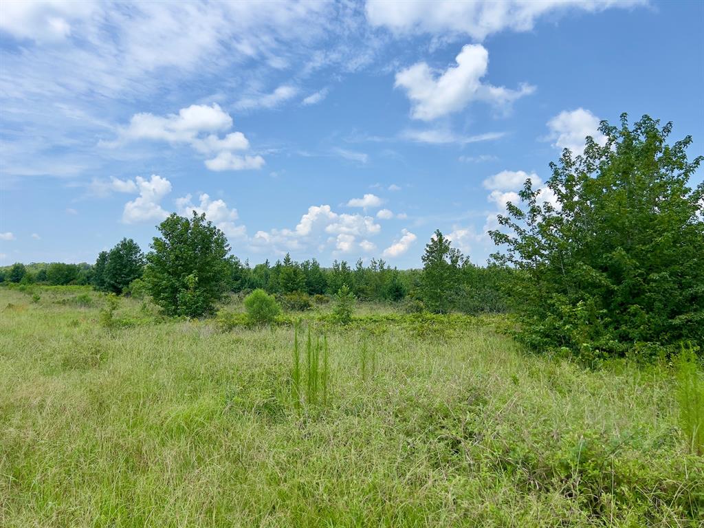 80 Sand Road Property Photo 25