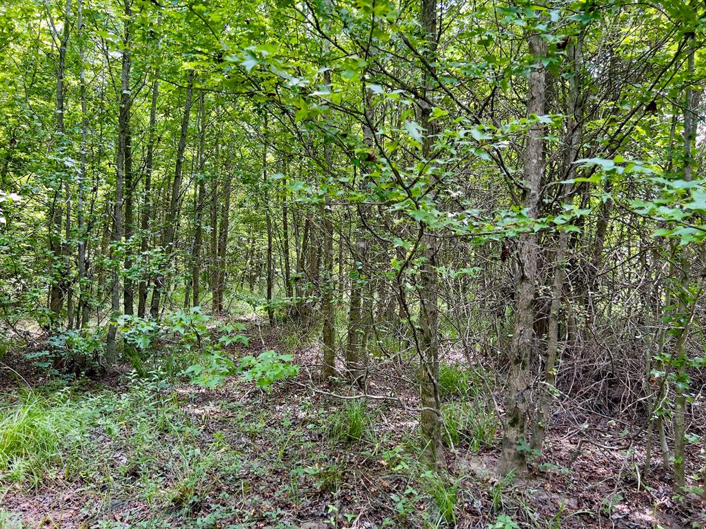 80 Sand Road Property Photo 28