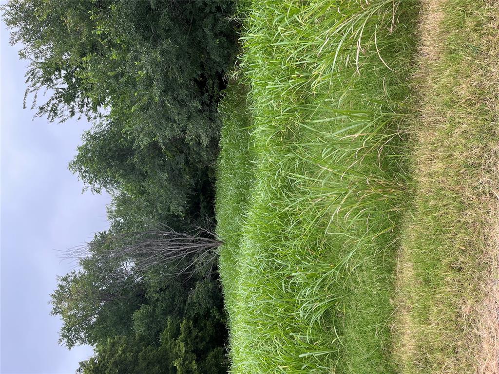 Ne 35th Street Property Photo