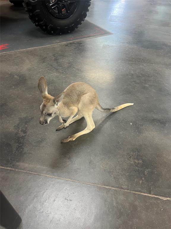 1201 N Stallion Drive Property Photo 16