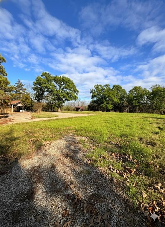 101 Perry Lane Property Photo 8