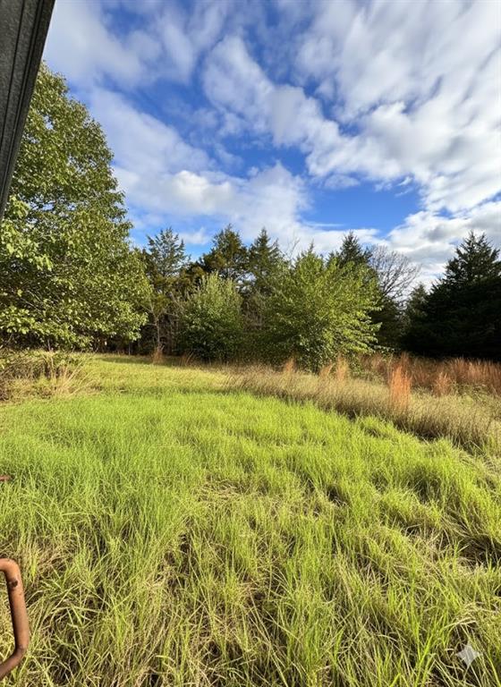 101 Perry Lane Property Photo 18