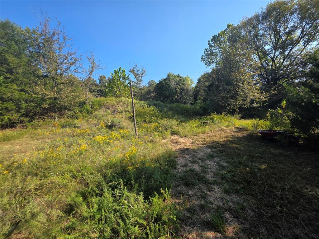 14323 Ns 3590 Road Property Photo 10