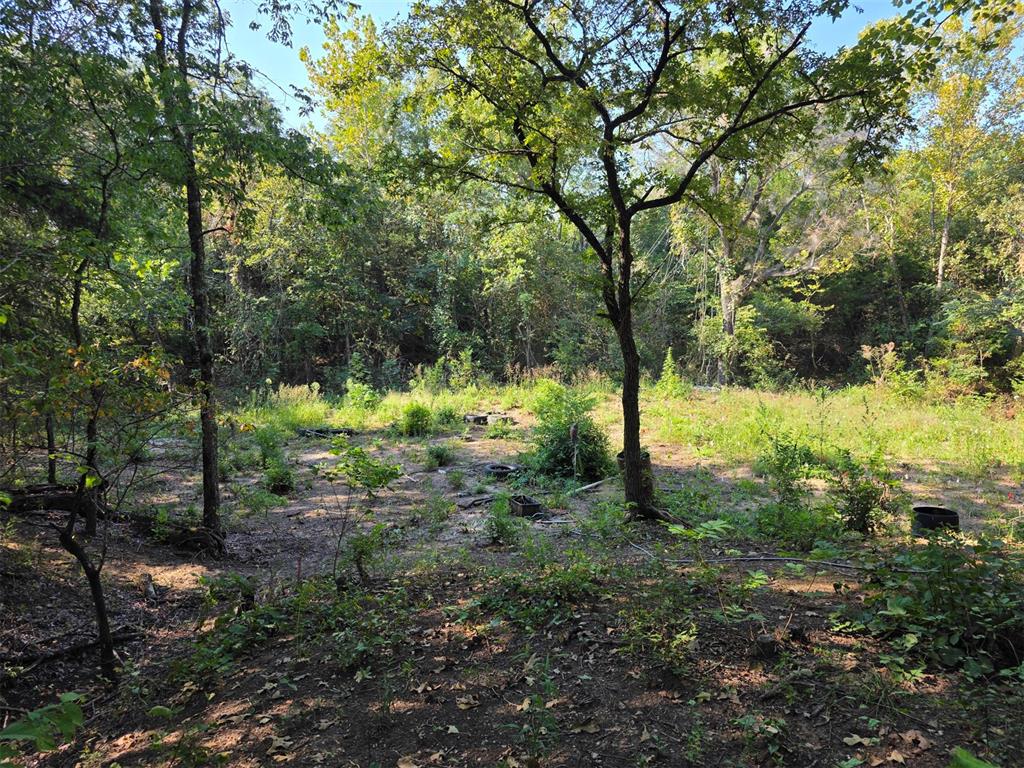 14323 Ns 3590 Road Property Photo 13