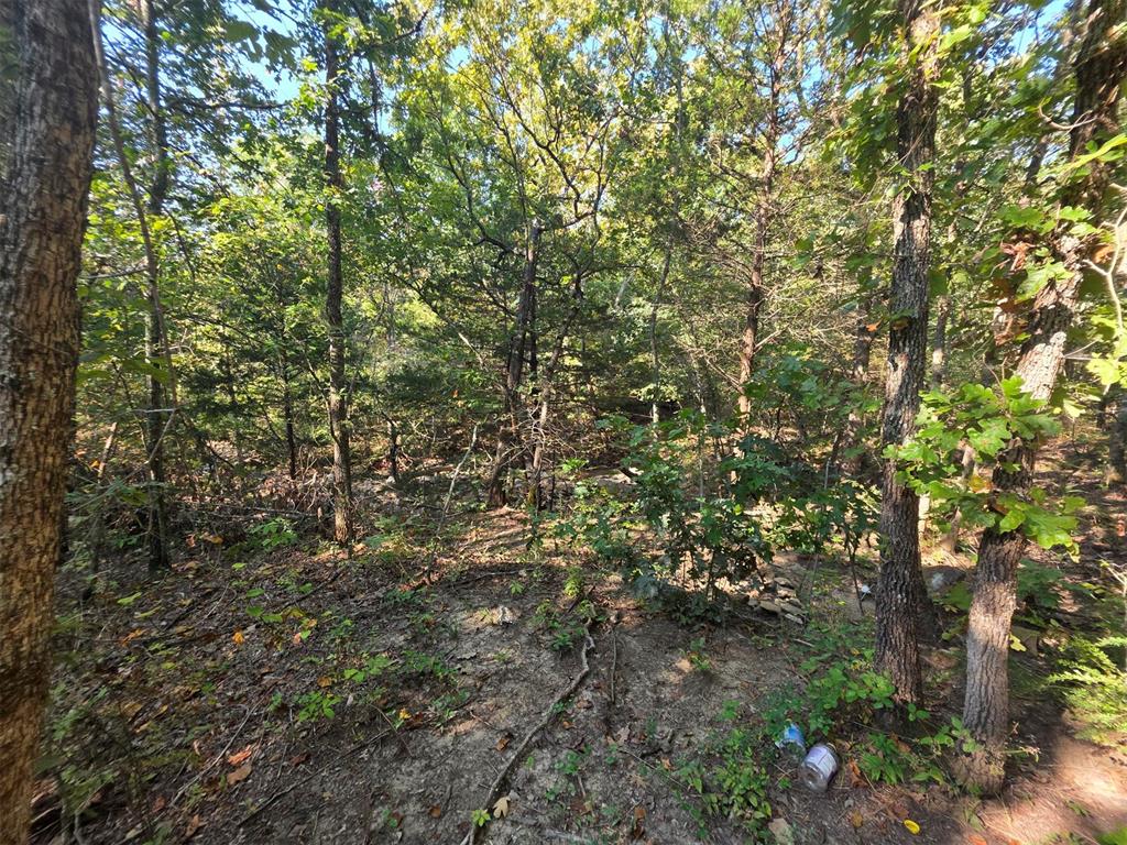 14323 Ns 3590 Road Property Photo 15