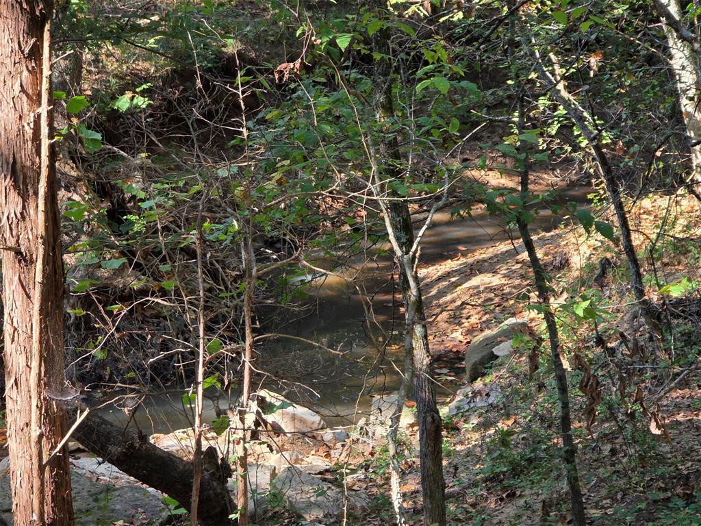 14323 Ns 3590 Road Property Photo 16