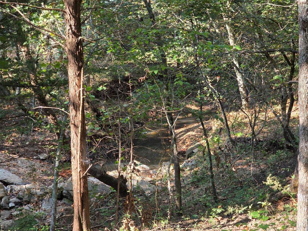 14323 Ns 3590 Road Property Photo 17