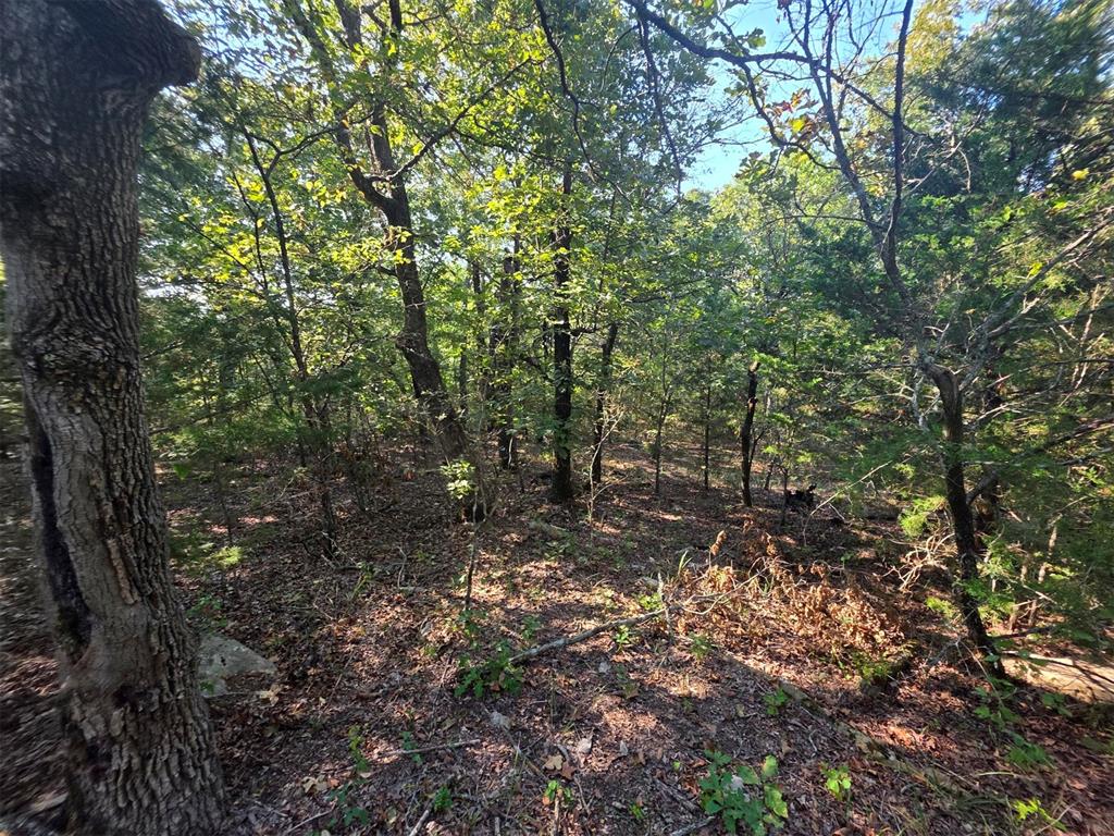 14323 Ns 3590 Road Property Photo 19