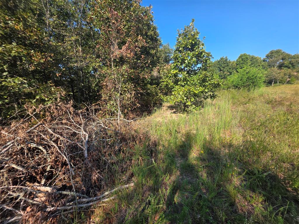 14323 Ns 3590 Road Property Photo 21