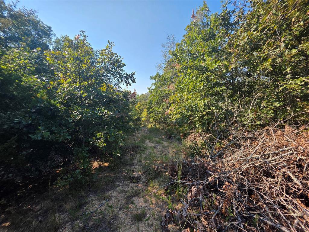 14323 Ns 3590 Road Property Photo 22