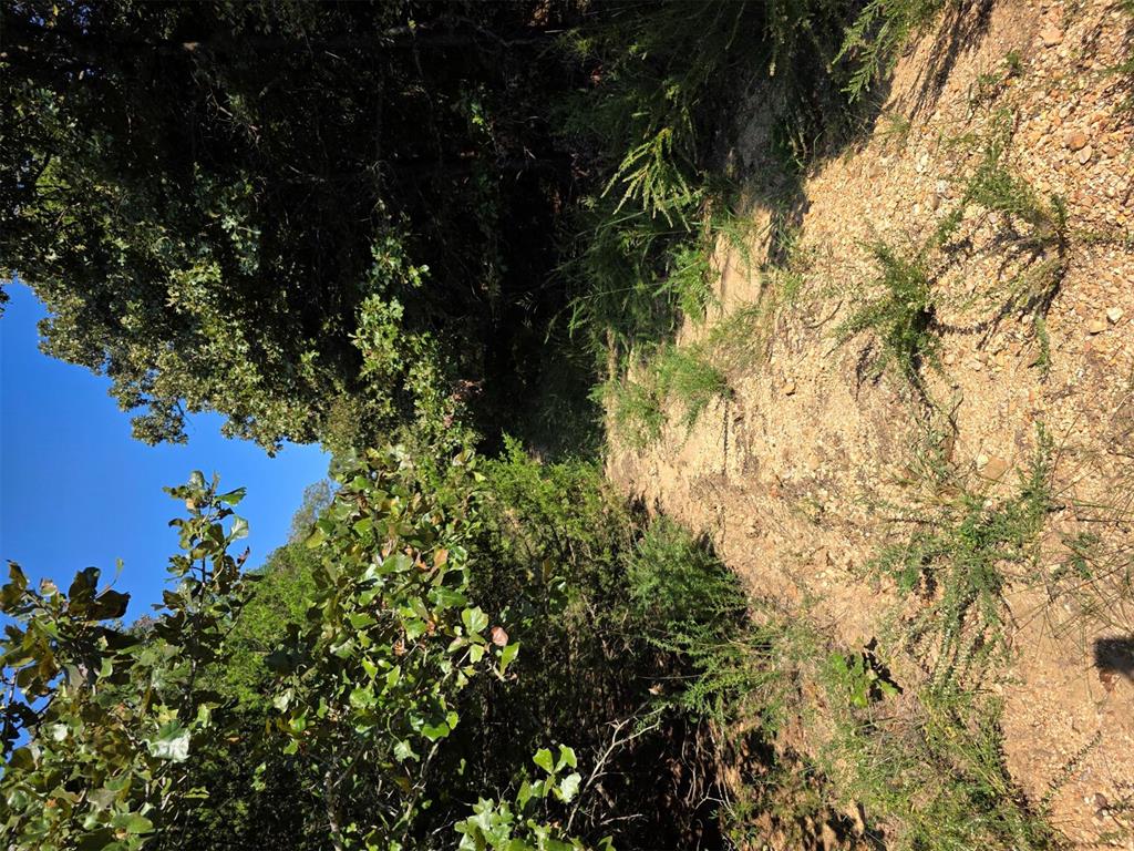 14323 Ns 3590 Road Property Photo 24