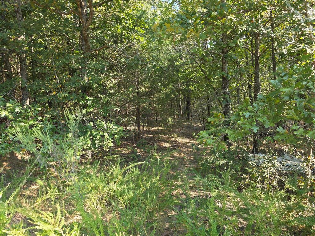 14323 Ns 3590 Road Property Photo 25