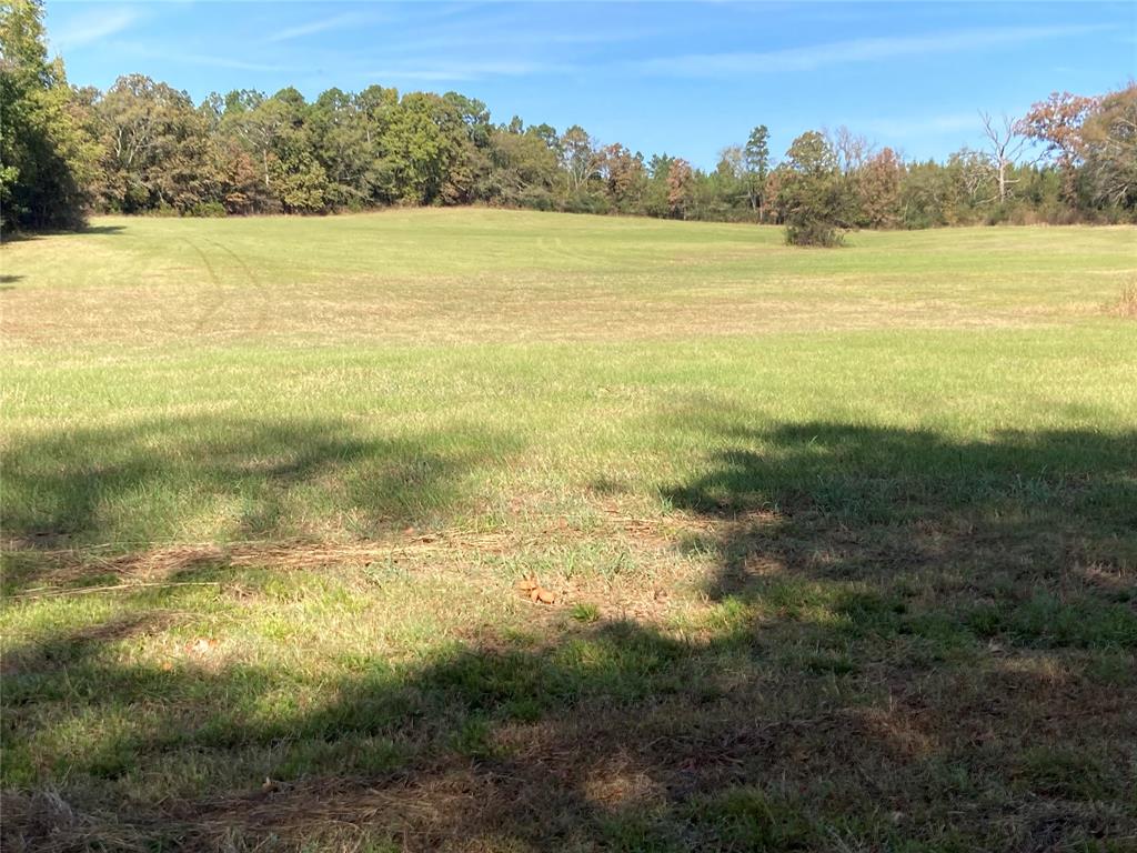901 Sycamore Bend Loop Property Photo 2