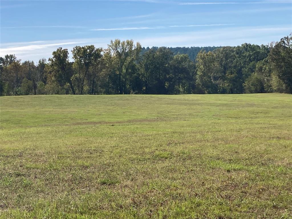 901 Sycamore Bend Loop Property Photo 3