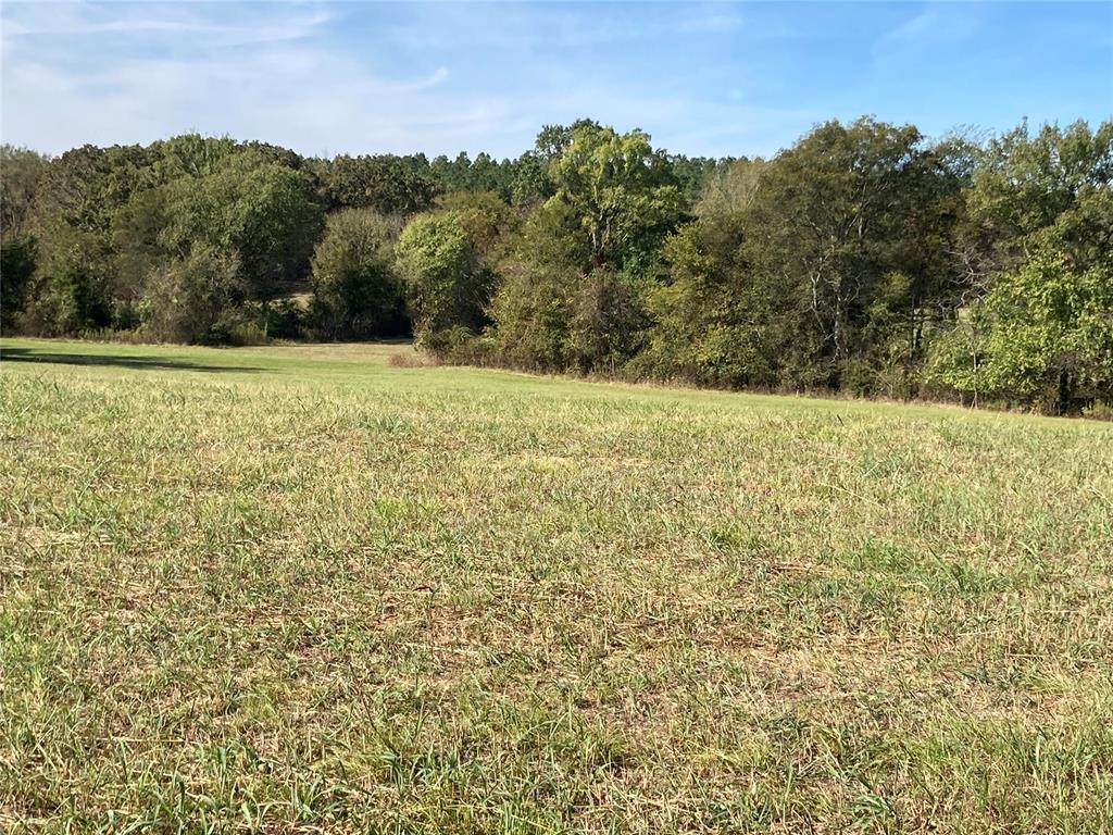 901 Sycamore Bend Loop Property Photo 4