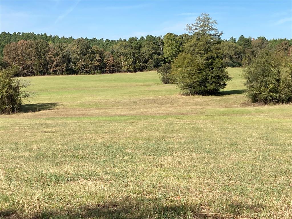 901 Sycamore Bend Loop Property Photo 6