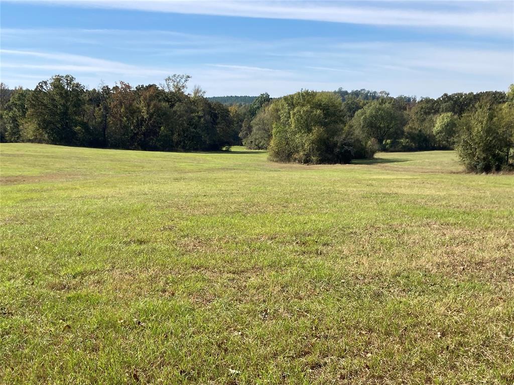 901 Sycamore Bend Loop Property Photo 7