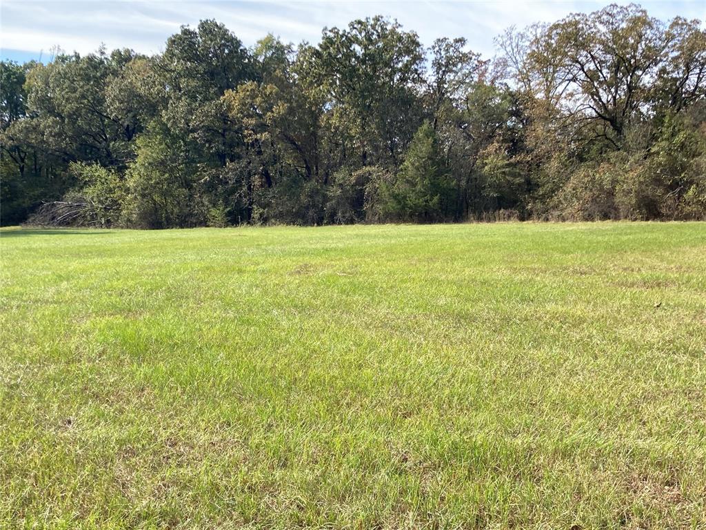 901 Sycamore Bend Loop Property Photo 8
