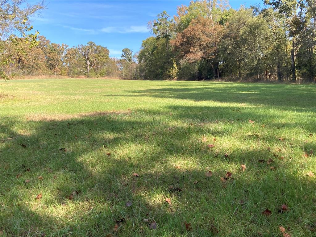 901 Sycamore Bend Loop Property Photo 12